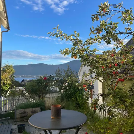 Koselig I Sentrum Lägenhet Ålesund