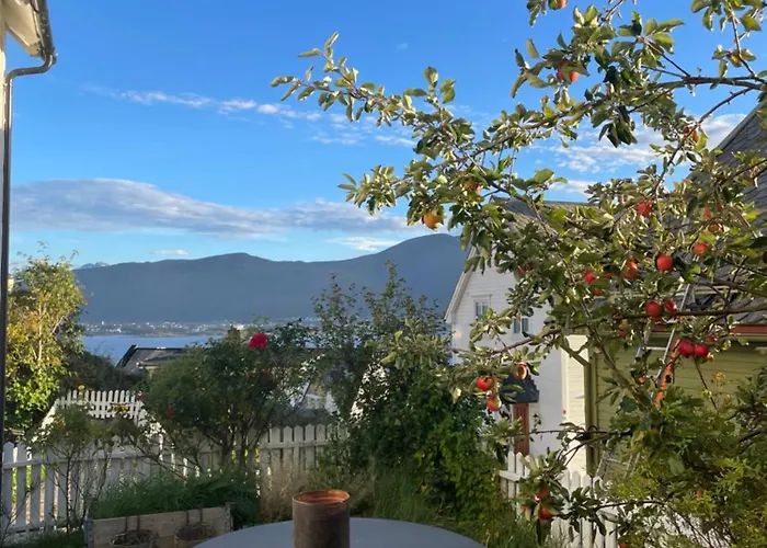 Koselig I Sentrum Lägenhet Ålesund